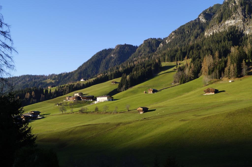 Hanslerfeld Alpbach Værelse billede