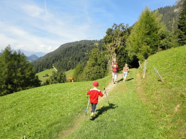 Hanslerfeld Alpbach Værelse billede