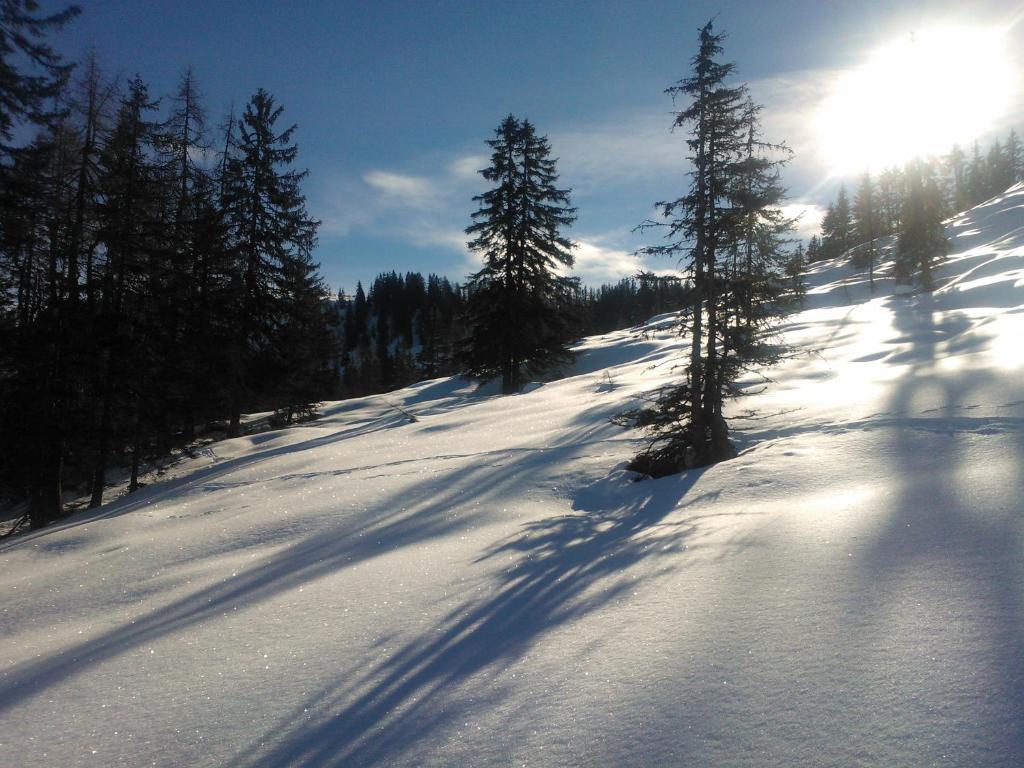 Hanslerfeld Alpbach Eksteriør billede