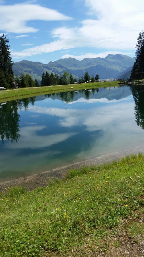 Hanslerfeld Alpbach Eksteriør billede
