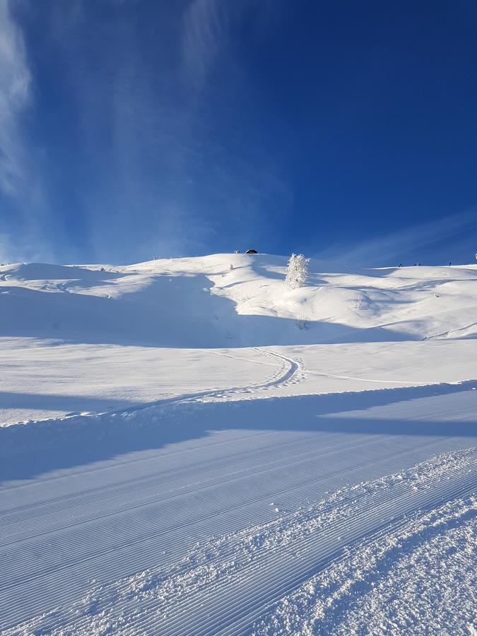 Hanslerfeld Alpbach Eksteriør billede