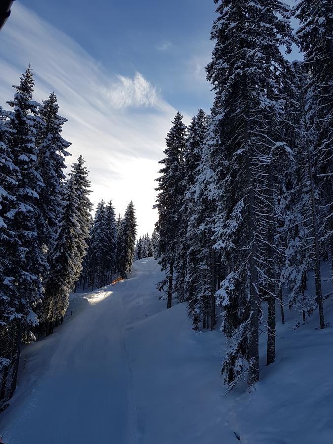 Hanslerfeld Alpbach Eksteriør billede