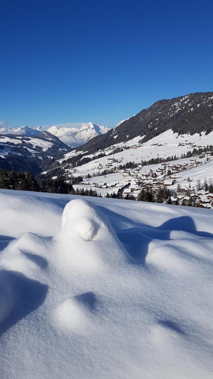 Hanslerfeld Alpbach Eksteriør billede