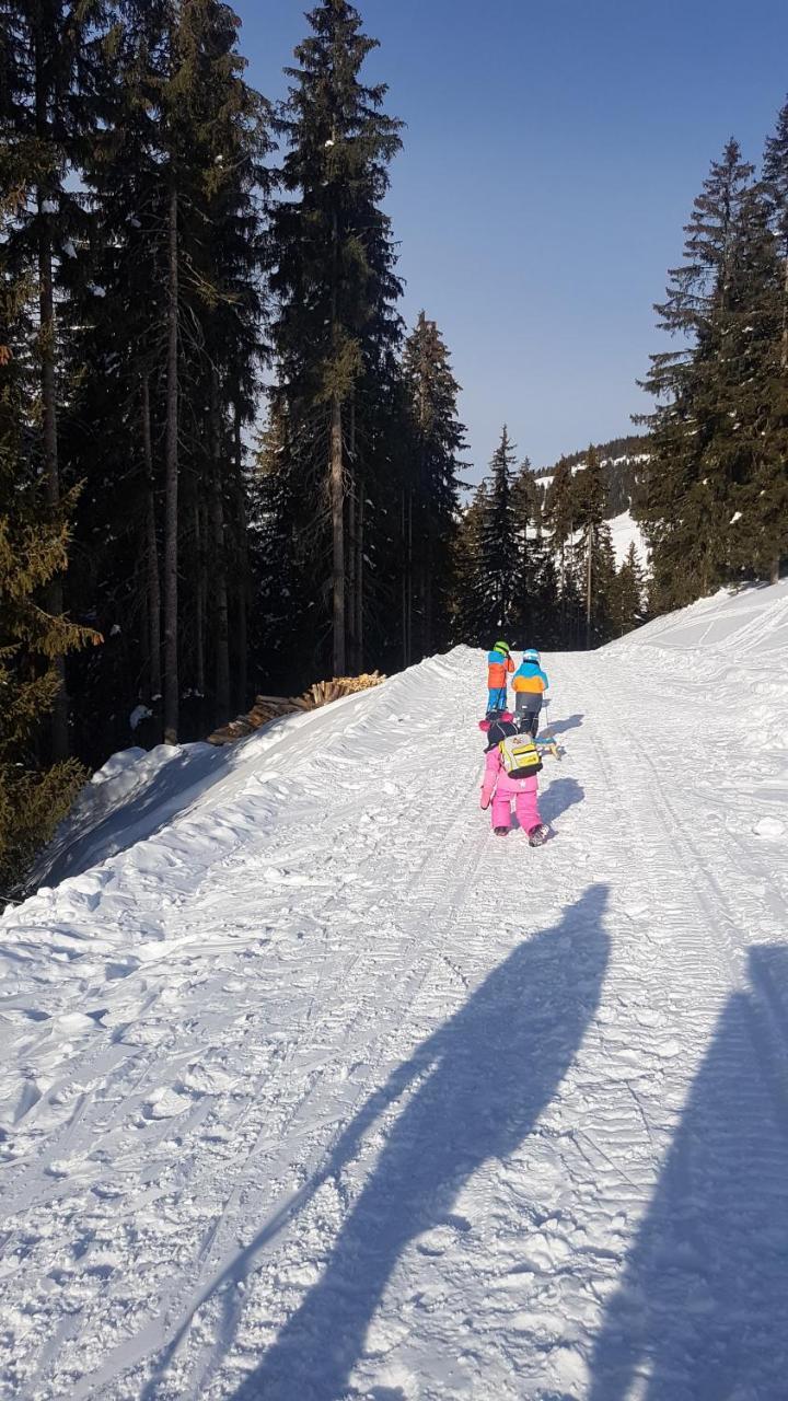 Hanslerfeld Alpbach Eksteriør billede