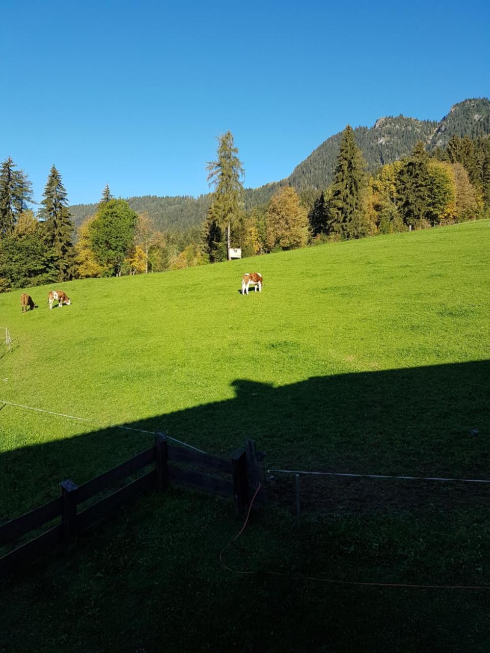 Hanslerfeld Alpbach Eksteriør billede